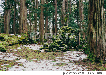 福井平泉寺白山神社 137251888