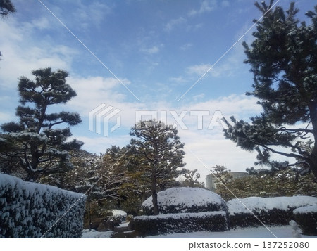 Snow scene at Inage Seaside Park 137252080