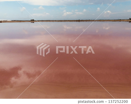 Pink Lagoon, Mexico 137252200