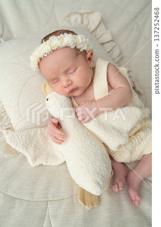 Sleeping newborn baby integrated into calm home interior with natural textures. Baby sleep interior concept for lifestyle branding, parenting platforms and family oriented marketing Sleeping newborn baby integrated into calm home interior with natural textures. Baby sleep interior concept for lifestyle branding, parenting platforms and family oriented marketing 137252468