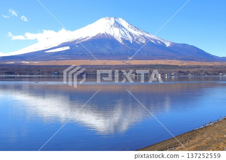 山中湖長池水上樂園的富士山 山中湖長池水上樂園的富士山 137252559