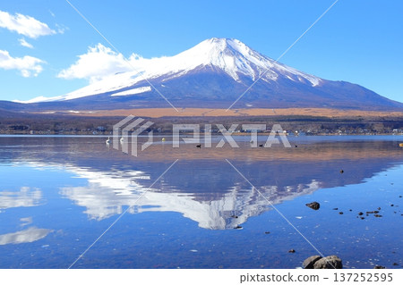 Fuji from Lake Yamanaka Nagaike Water Park 137252595