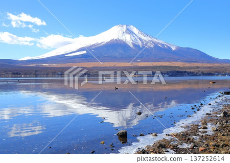Fuji from Lake Yamanaka Nagaike Water Park Fuji from Lake Yamanaka Nagaike Water Park 137252614