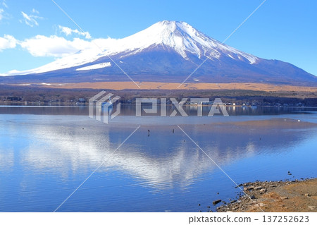 Fuji from Lake Yamanaka Nagaike Water Park Fuji from Lake Yamanaka Nagaike Water Park 137252623
