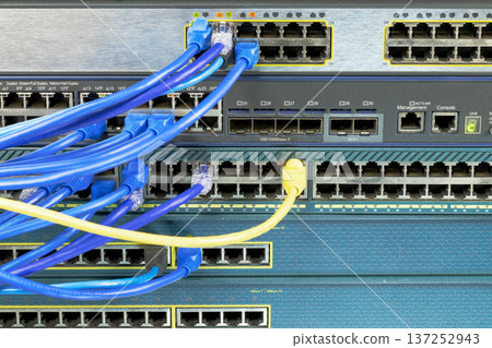 構成網路的交換機 137252943