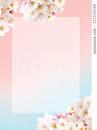 櫻花背景 137253150