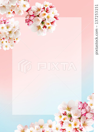 櫻花背景 137253151