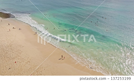 Tropical beach in Bali featuring people enjoying the sand and clear turquoise water, with surfers waiting for waves and swimmers splashing at the shoreline, captured from an aerial perspective Tropical beach in Bali featuring people enjoying the sand and clear turquoise water, with surfers waiting for waves and swimmers splashing at the shoreline, captured from an aerial perspective 137253199
