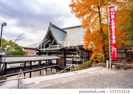 Autumn scenery of the main hall of Mogami Inari Shrine (Okayama City) Autumn scenery of the main hall of Mogami Inari Shrine (Okayama City) 137253216