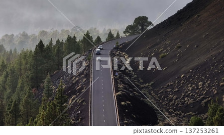 Tenerife, Canary Islands: Cars driving scenic road near Mountain Teide, surrounded by lush pine forests and volcanic landscapes. Travel nature background. Vacation, discovery, relax. Aerial 137253261