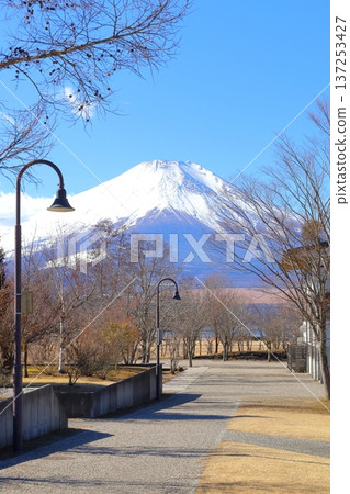 從山中湖交流廣場 Kirara 看到的富士山 137253427