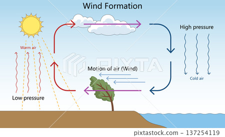 Wind Formation Diagram Showing Air Circulation Wind Formation Diagram Showing Air Circulation 137254119