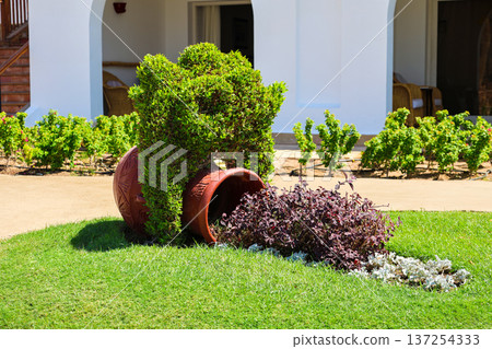 A garden plant arrangement in the form of a vase, jug and bushes A garden plant arrangement in the form of a vase, jug and bushes 137254333