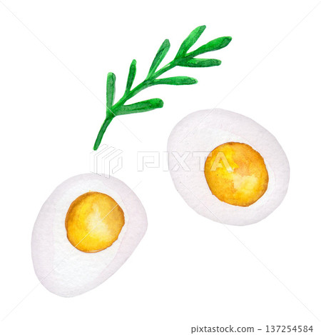 Watercolor drawing of a boiled egg for breakfast 137254584