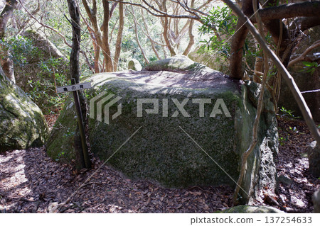 高知縣東陣場遺址和龜瀨 高知縣東陣場遺址和龜瀨 137254633