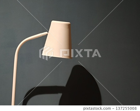 Close Up Minimalist Floor Lamp Shade Against Dark Green Wall 137255008