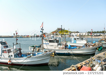 Kabushima Shrine (in its old shrine building days) seen from Same Fishing Port in Hachinohe City, Aomori Prefecture, with fishing boats on the beach and rapeseed flowers in full bloom Kabushima Shrine (in its old shrine building days) seen from Same Fishing Port in Hachinohe City, Aomori Prefecture, with fishing boats on the beach and rapeseed flowers in full bloom 137255201