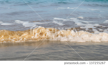 Close-up of a foamy wave cresting on a sandy shore, creating a dynamic and textured scene by the ocean. 137255267