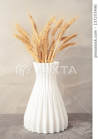 Spikelets of wheat in a vase on light background Spikelets of wheat in a vase on light background 137255490