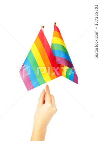 Hand holding rainbow flag isolated on white background. Hand holding rainbow flag isolated on white background. 137255503