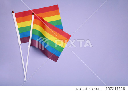LGBT rainbow flag flat lay on purple background. Space for text LGBT rainbow flag flat lay on purple background. Space for text 137255528