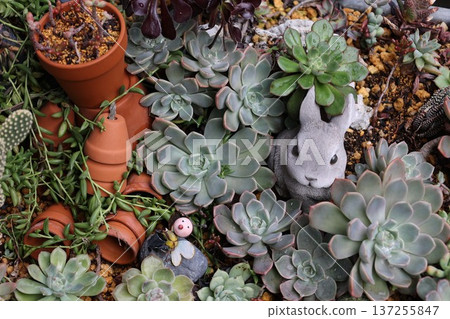 花廊花壇 137255847