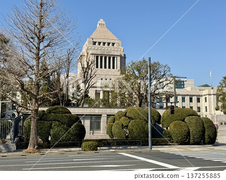 In front of the National Diet Building March 2025 137255885