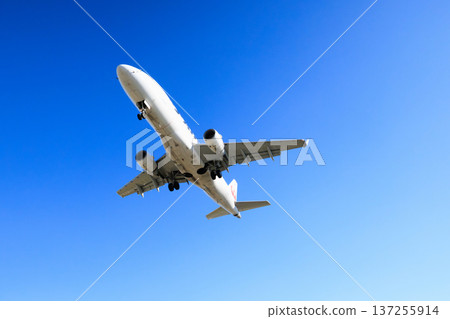 Aircraft landing on the runway at Osaka International Airport (Itami Airport) 137255914
