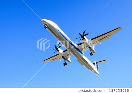 飛機在大阪國際機場（伊丹機場）跑道上降落 137255916