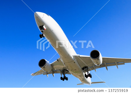 Aircraft landing on the runway at Osaka International Airport (Itami Airport) 137255919