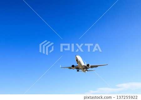 飛機在大阪國際機場（伊丹機場）跑道上降落 137255922