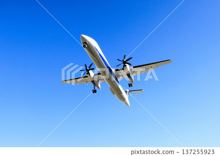 飛機在大阪國際機場（伊丹機場）跑道上降落 137255923