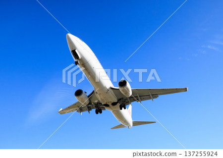 飛機在大阪國際機場（伊丹機場）跑道上降落 137255924