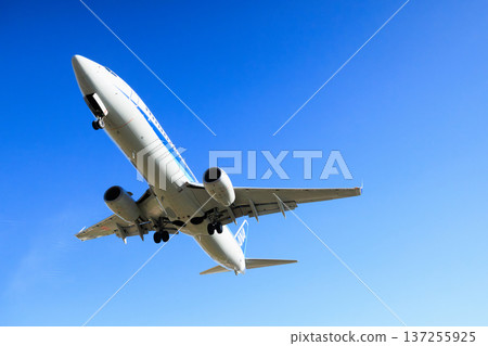 Aircraft landing on the runway at Osaka International Airport (Itami Airport) Aircraft landing on the runway at Osaka International Airport (Itami Airport) 137255925