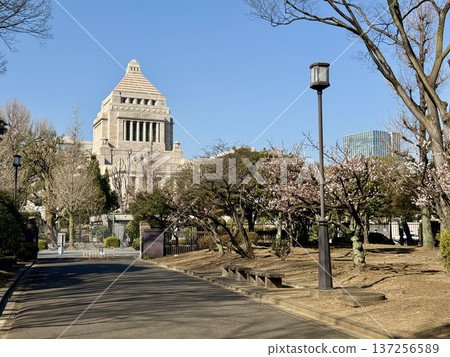 2025年3月,在國會議事堂前 2025年3月,在國會議事堂前 137256589