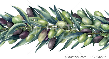 Watercolor olive branch seamless border. Green and dark olives, lush greenery. Healthy food, Mediterranean cuisine. Isolated illustration, pattern for kitchen textile, oil, cosmetics packaging Watercolor olive branch seamless border. Green and dark olives, lush greenery. Healthy food, Mediterranean cuisine. Isolated illustration, pattern for kitchen textile, oil, cosmetics packaging 137256594