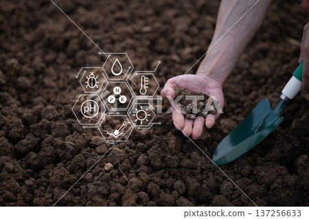 Farmer checks soil quality by hand using digital data icons to analyze nutrients pH moisture and conditions for sustainable agriculture Farmer checks soil quality by hand using digital data icons to analyze nutrients pH moisture and conditions for sustainable agriculture 137256633