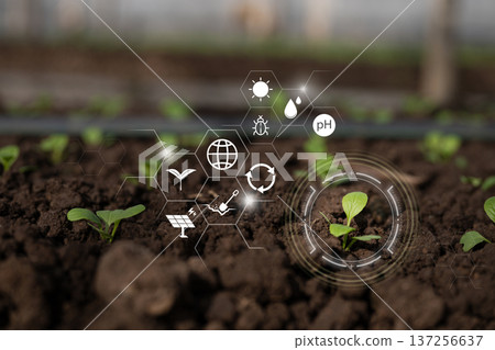 Smart agriculture technology monitoring seedling growth with data icons for sustainable farming, Organic Digital Background 137256637