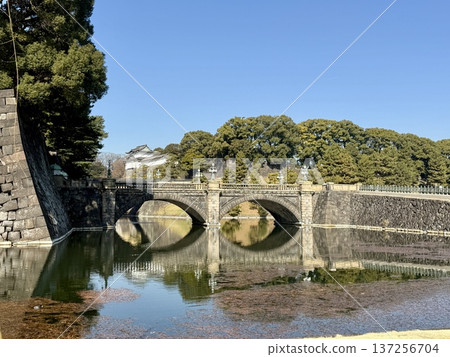 三月東京皇宮週邊 137256704