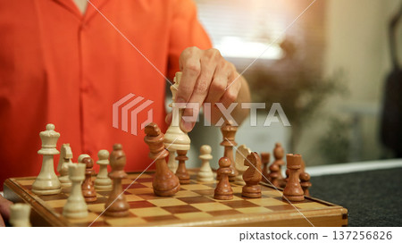 Checkmate or board game success. Checkmate or board game success. 137256826