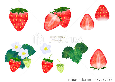 水彩風格手繪草莓插畫素材套裝 137257052