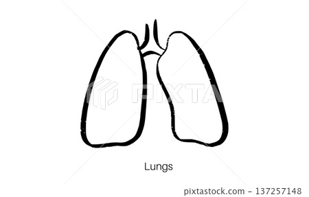 Lungs Sketch Poster 137257148