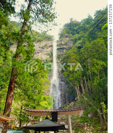 Nachi Falls, the famous waterfall with the highest drop in Japan, Wakayama Prefecture Nachi Falls, the famous waterfall with the highest drop in Japan, Wakayama Prefecture 137257156