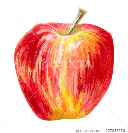 Watercolor hand drawn illustration of a juicy red-yellow apple with a twig tilted on its side. 137257550