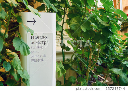 White sign with arrow and multilingual text Starting point of the visit in Russian, English, and Chinese, among green plants for orientation and navigation in botanical garden or museum White sign with arrow and multilingual text Starting point of the visit in Russian, English, and Chinese, among green plants for orientation and navigation in botanical garden or museum 137257744