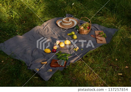 Picnic scene ambiance, Open outdoor picnic with fresh seasonal produce Picnic scene ambiance, Open outdoor picnic with fresh seasonal produce 137257854
