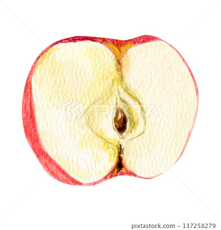 A high-quality, hand-drawn illustration of a juicy red half an apple slice featuring a small brown stem. A high-quality, hand-drawn illustration of a juicy red half an apple slice featuring a small brown stem. 137258279