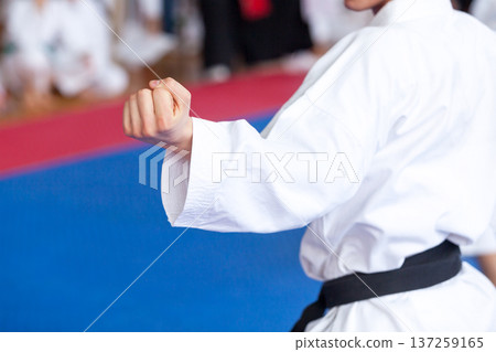 Karate practitioner body position during training. Martial arts. Karate practitioner body position during training. Martial arts. 137259165
