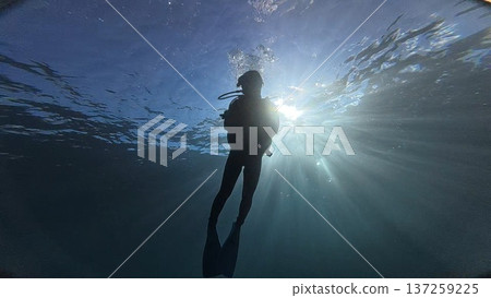 潛水員在水下游泳 137259225