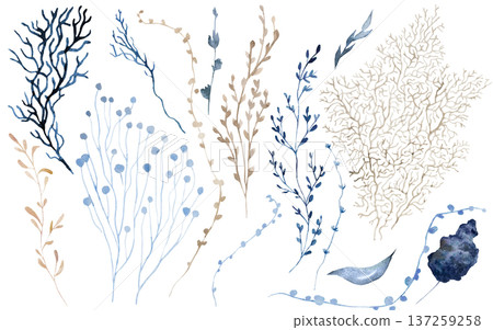 Hand drawn watercolor marine plants, coral branches and leaves in muted blue and beige tones Hand drawn watercolor marine plants, coral branches and leaves in muted blue and beige tones 137259258